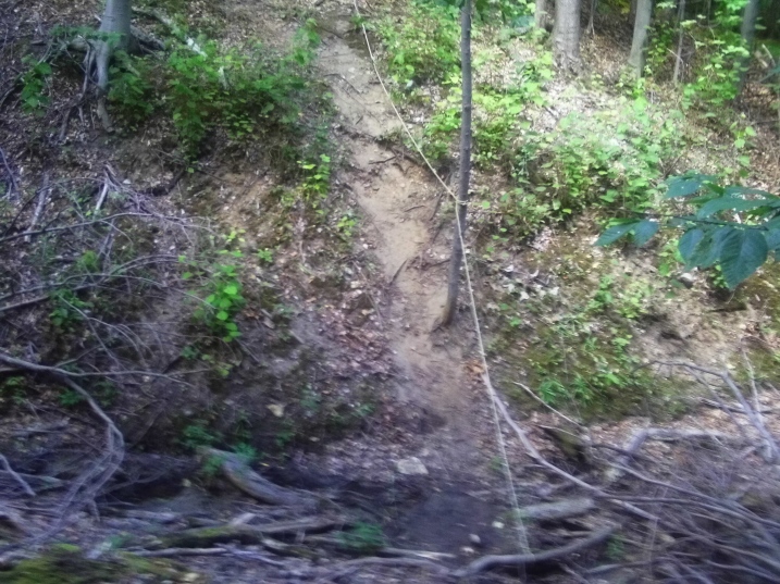 The last gulley was so steep. fixed ropes need to be used so runners can pull themselves out.